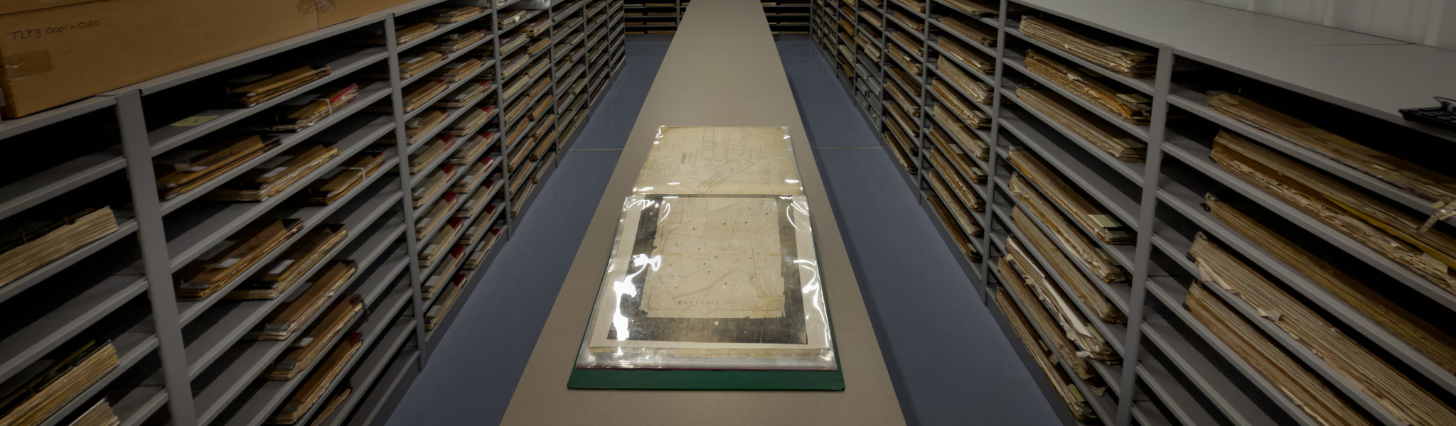 Document Viewing Area